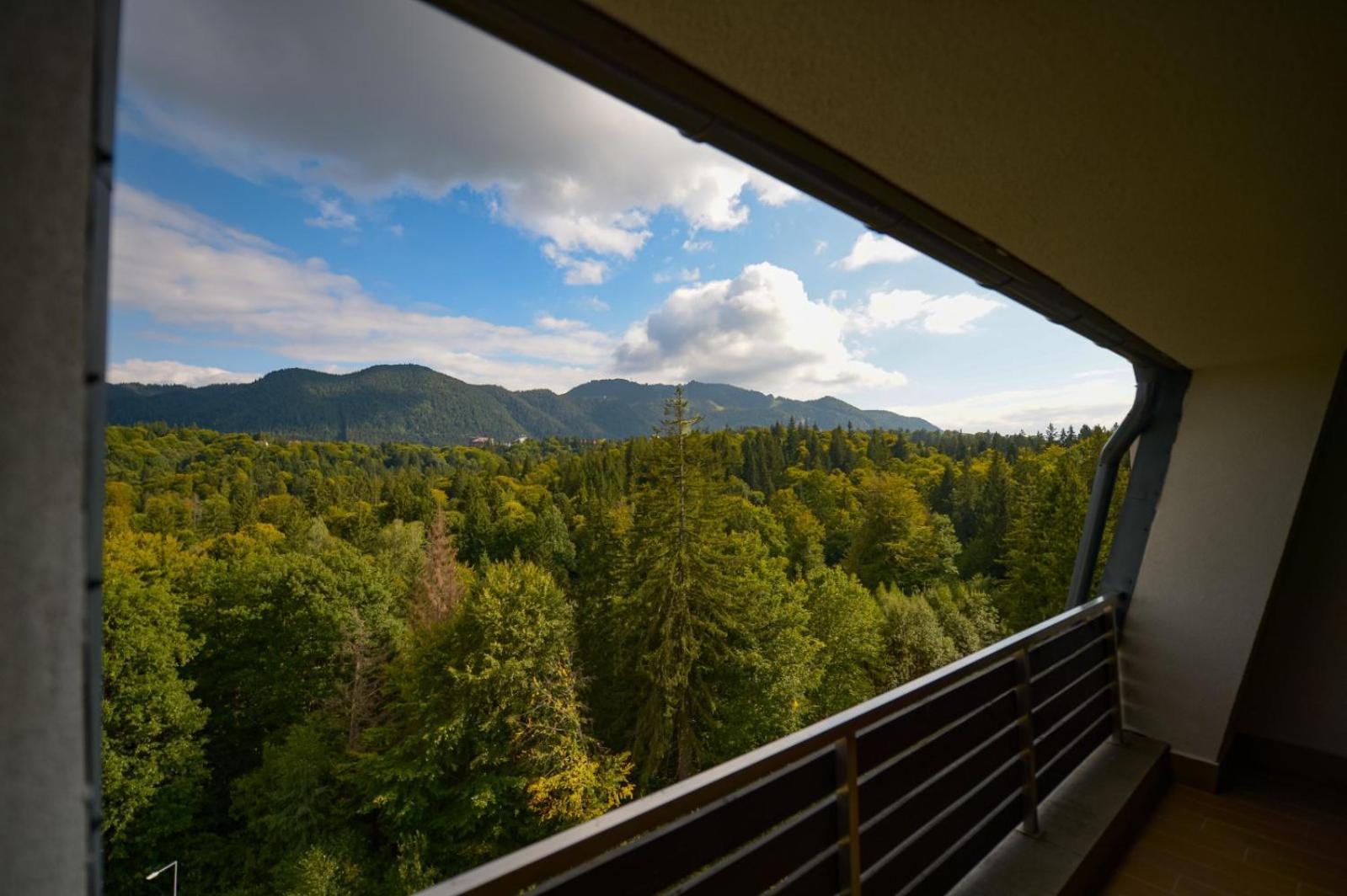 Elexus Apartments Poiana Brasov Buitenkant foto